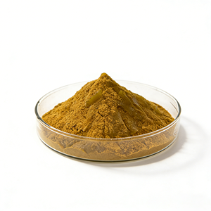 Extracto de Algas Marinas Natural de Grado Alimenticio, Extracto de Kelp en Polvo para Suplementos de Salud - Product Image 1