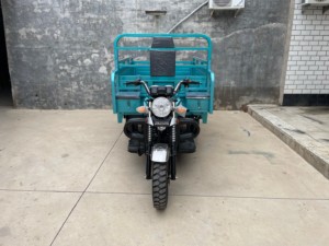 Buatan Cina baru kecepatan tinggi tugas berat 175cc roda tiga, bahan bakar pertanian sepeda motor bensin - Product Image 2