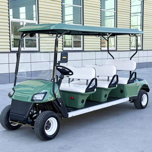 Carro Eléctrico de Gran Capacidad para 6 Personas, Ideal para Recorridos Turísticos en Parques y Zonas Panorámicas - Product Image 1
