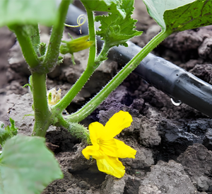 New type <strong>drip</strong> <strong>irrigation</strong> system manufacturer - Direct sales of <strong>drip</strong> tubes - Wholesale of <strong>drip</strong> tubes for hilly farmland terrain - Product Image 5