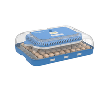 Mini incubateur d'oeufs de poulet automatique Intelligent 4-112 pièces nouvel équipement d'élevage d'éclosion en plastique domestique