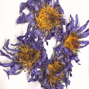 Tè di fiori di loto <span class=keywords><strong>blu</strong></span> Lan Lian Hua di alta qualità Nymphaea pulituulea/capensis in stock - Product Image 5