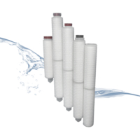226/222/ Fin 10/20 pouces 0.2 micron Nylon 66 cartouche filtrante à Membrane plissée pour purificateur d'eau Machine composant essentiel