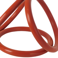 FKM/EPDM Silikon Hochwertige O-Ring-Dichtungen in Verschiedenen Größen für Industrieanlagen