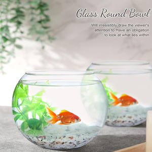Décoration de maison moderne, bol en verre recyclé, terrarium rond, <span class=keywords><strong>vase</strong></span> en verre, terrarium en verre, 20 <span class=keywords><strong>cm</strong></span> - Product Image 6