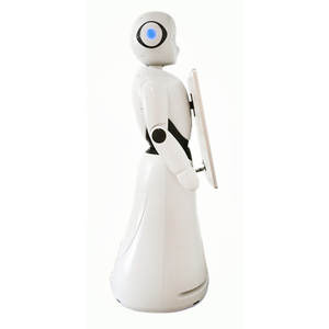 Il Servizio clienti Femminile Server Robot Humanoide per la Vendita - Product Image 6