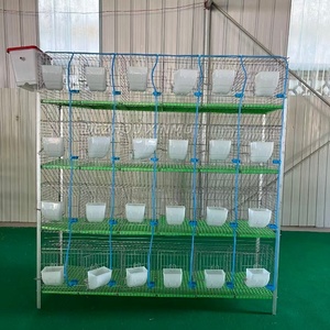 กรงกระต่ายเพื่อการค้าระยะยาว24ตำแหน่งบ้านกระต่ายไร้มูลสัตว์ - Product Image 5