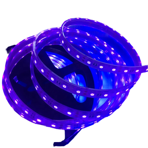 Tira de Luces LED Inteligente RAYMATES de 12 V 2835 120 LED SMD, 4 mm, Flexible, Cortable, con Control Remoto - Product Image 1