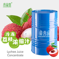 Concentré de jus de litchi congelé, emballage en fût, boisson en jus, grossiste