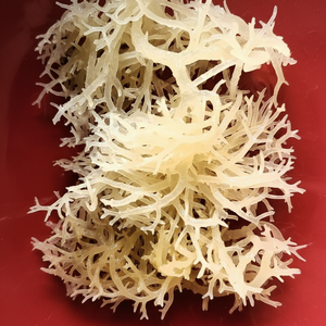สาหร่ายทะเลแห้งแบบกําหนดเอง EUCHEUMA COTTONII เซมอสไอริชจากเวียดนามเทรซี่ - Product Image 1