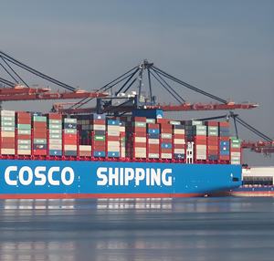 Agente de Carga Marítima FCL y LCL para China a Brasil, <span class=keywords><strong>Vitoria</strong></span>, Fortaleza, Caxias, Pecem, Logística - Product Image 3