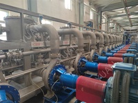 Performance à coût élevé meilleure vente ligne de production d'amidon de maïs usine d'amidon de maïs modifiée automatique