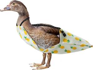 XS - L Caneton Poulet <span class=keywords><strong>Couche</strong></span> <span class=keywords><strong>Lavable</strong></span> Réutilisable Oie Vêtements Ferme Pet Couches Noeud Papillon Canard Couches Fournitures pour Volaille - Product Image 4