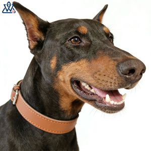 Collier pour animaux de compagnie en cuir véritable, couleur unie, réglable pour petits chiens et chats, toutes saisons, style simple - Product Image 2
