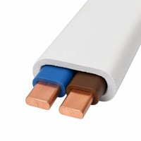 PVC-Flachkabel 300/500V PVC-Isoliert PVC-Ummantelt Flaches Doppelkabel Zweiadriges Stromkabel für Haushaltsgeräte
