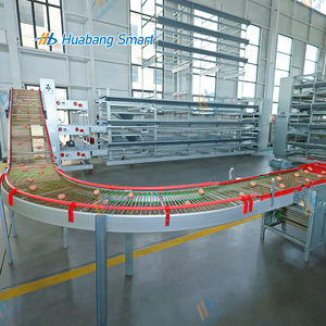 Équipement d'élevage avicole, collecte automatique des œufs, cages à poules en batterie pour la ponte - Product Image 5