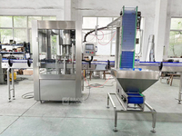 Visseuse de bouteilles en plastique PET automatique à 4 ou 6 têtes de 28mm Machine de capsulage rotative