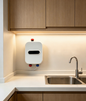Chauffe-eau électrique instantané sans réservoir 3500W, élément chauffant en acier inoxydable, affichage numérique, boîtier en plastique, extérieur, anglais