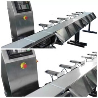 OEM Weegsorteerder voor fruit en groenten JZW-100g