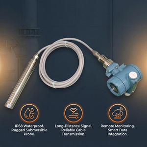 Industrieller Wasserstandsensor für <span class=keywords><strong>Tank</strong></span>-/Brunnenpegelmessung - Product Image 2