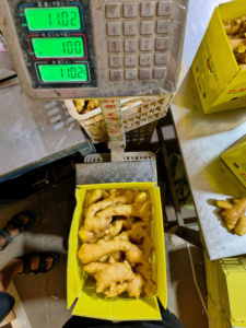 <span class=keywords><strong>2025</strong></span> khoảng cách chứng nhận hữu cơ khô tươi Trung Quốc gừng gốc giá mỗi tấn cho thực phẩm sử dụng - Product Image 5