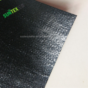 190gsm การเลี้ยงปลาทอผ้าคลุมดิน HDPE สีดำกับ Uv พลาสติกซับบ่อสำหรับเพาะเลี้ยงสัตว์น้ำ - Product Image 5