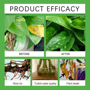 MOONSPRY Hecho en China - Product Image 5