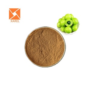 Heet Verkoop Phyllanthus Emblica Extract Yu Gan Zi Extract Poeder Emblica Officinalis Extract - Product Image 3