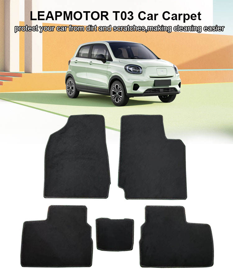 for Leapmotor T03 car mats