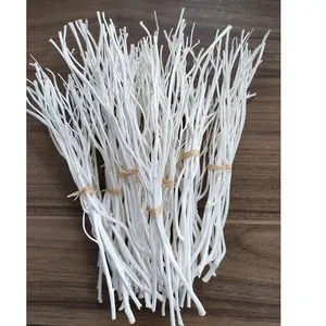 Hot Sales Willow Diffusor Sticks Holz zweig Reed Sticks Natur material Diffusor Reed Sticks Zweig