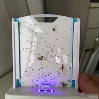Trampa Adhesiva para Mosquitos, Trampa para Insectos con Luz UV LED, Trampa Silenciosa para Moscas, Mosquitos y Polillas para Interiores, con Almohadillas Adhesivas Reemplazables