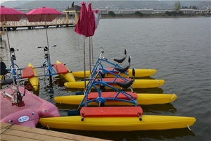 CHITONG Bicicletta Acquatica di Alta Qualità per Parchi, Bici da <span class=keywords><strong>Mare</strong></span> a Due Posti in Materiale LLDPE, Pedalò per Acque Oceaniche - Product Image 3