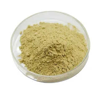 100% Natural Pine Pollen Powder Cell Wall Cracked With Best Price