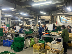 วาวล์ประตู PEX handwheel PEX ทนทาน1/2-2 "ทองเหลืองควบคุมน้ำทองแดงเกลียวตัวเมียวาล์วโลกจากเวียดนาม - Product Image 3