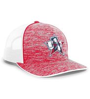 Gorra de béisbol de poliéster de 6 paneles personalizada OEM gorra de conductor de camión deportiva unisex con ala curva gorra de camionero al por mayor imagen de personaje
