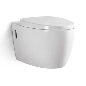 Cheap Price Ceramic One Piece Washdown Sanitary Ware Wall Hung Toilet Wc Bathroom Toilet