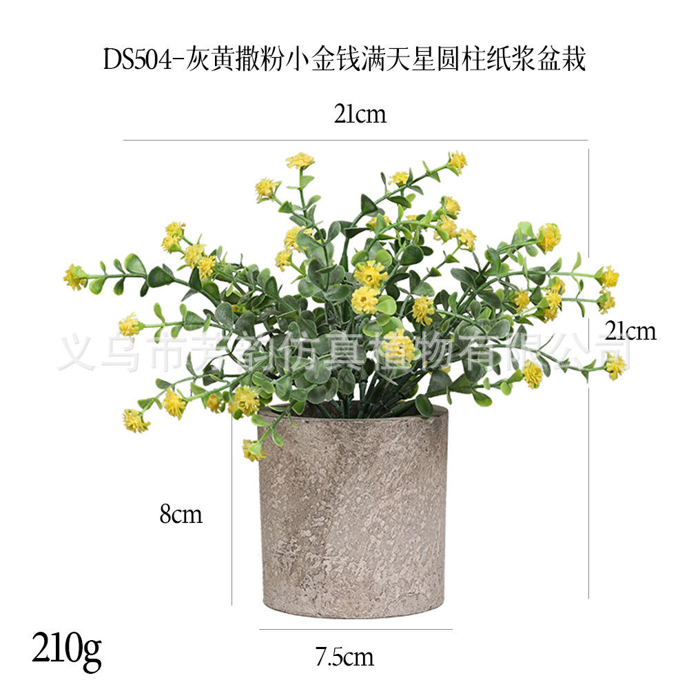 Ds504-custard gypsophila plante en pot-avec rose