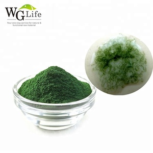 Vendita calda compresse di clorella biologica e Spirulina capsule in polvere puro naturale per uso alimentare integratori proteici confezionati in fusti - Product Image 4