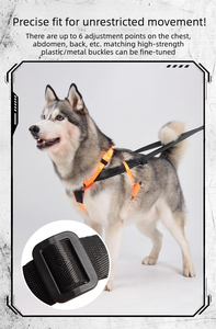 Ensemble <span class=keywords><strong>harnais</strong></span> et laisse pour <span class=keywords><strong>chien</strong></span> de course en plein air, adapté aux chiens de traîneau, confortable, durable, portable, en stock, vente en gros - Product Image 6