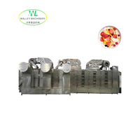 Chinese roestvrijstalen 304 voedselverwerkingsmachine voor groente- en fruitfabrieken, inclusief after-sales ondersteuning voor de fabriek.
