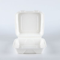 205-205-80-9*9 pouces bols biodégradables de canne à sucre et de bagasse boîtes à lunch jetables maintenant disponibles pour le marché des EAU