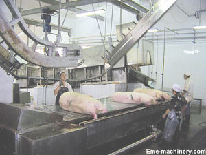 EME Bon <span class=keywords><strong>fournisseur</strong></span> Équipement complet d'abattoir pour la transformation de la viande et les équipements agricoles - Product Image 5