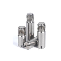 Vis sans tête fendue à queue ronde à filetage externe en acier inoxydable SS SUS 304 316 316L A2 A4 70 80 DIN427