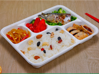 Assiettes jetables écologiques biodégradables et plateau en bagasse à 5 compartiments pour les fêtes - ECOLIFE