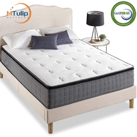 Klassisches Design Moderner Memory Foam Queen-Size-Matratze Gänsedaunen-Stoff-Taschen feder matratze