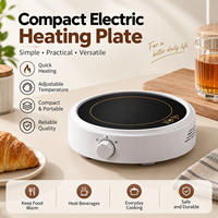 Mini-réchaud électrique en céramique portable, bouilloire à thé, chauffe-eau avec commande par bouton, plaque chauffante pour usage domestique