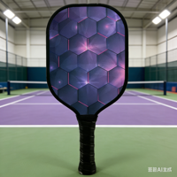 Raqueta de Pickleball P&P Pro-Edition de Carbono Toray T700 con Núcleo de Panal de Abeja de 13 mm, Ligera, con Empuñadura Antideslizante y Amortiguación, para Deportes al Aire Libre