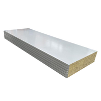 Panneau isolant en laine de roche ignifuge de 50 mm, cloison en mousse de purification moderne, mur composite mécanisé en acier coloré