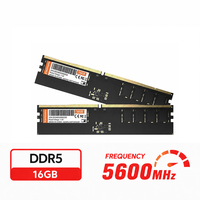 Modul RAM Gaming Desktop DDR5 16GB 5600MHz, Memori Kecepatan Tinggi PC5-48000, Pasokan Grosir Langsung Pabrik