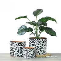 Fournitures de jardin Décor nordique coloré Imprimé léopard Pot de plantes succulentes Pots de fleurs en céramique Planteur en terre cuite